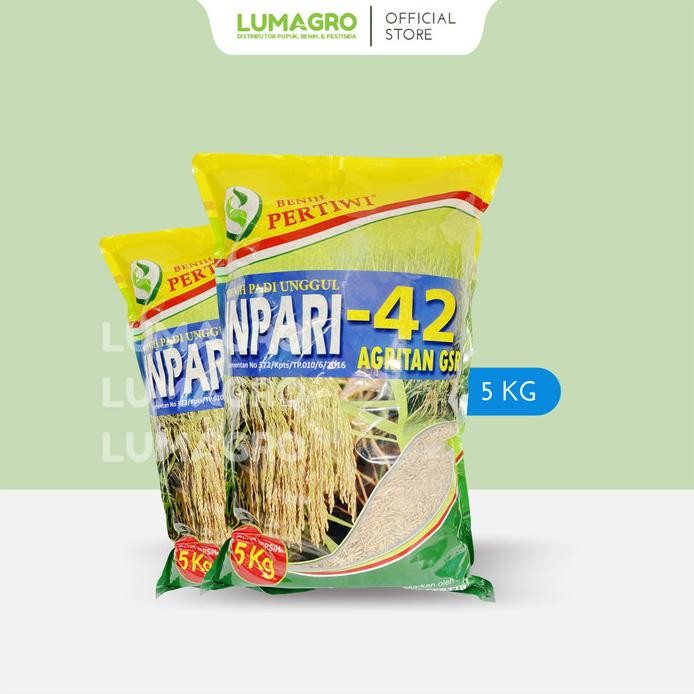 Terlaris Benih Padi Inpari 42 Pertiwi 5Kg Bibit Pari Jumbo Inpari42 5 Kg