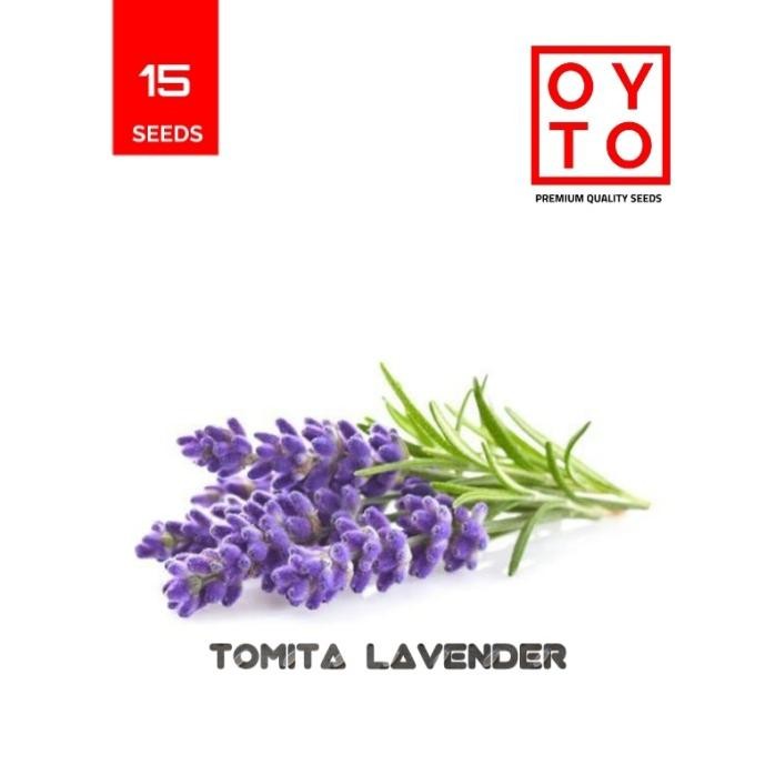 

Terlaris Benih Lavender Bibit Herbal Benih Tanaman