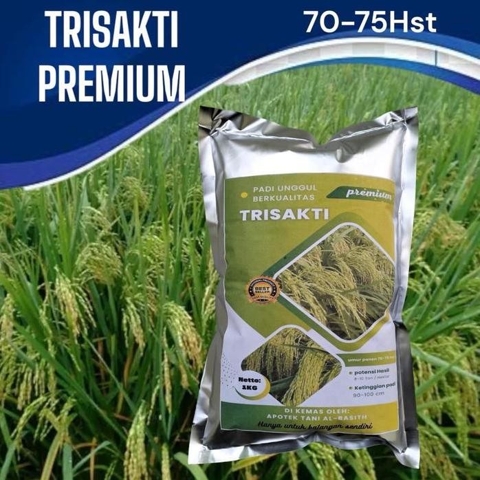 

Terlaris Benih Padi Trisakti Premium 70-75 Hst