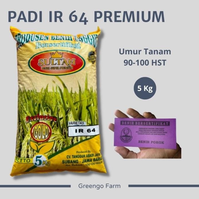 

Terlaris Benih Padi Varietas Ir64 Super Jumbo Premium 5Kg
