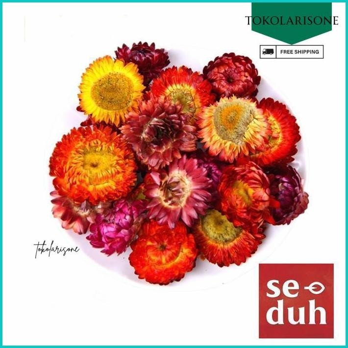 

COLORFUL CHRYSANTEMUM TEA / STRAW FLOWER TEA 500 GRAM