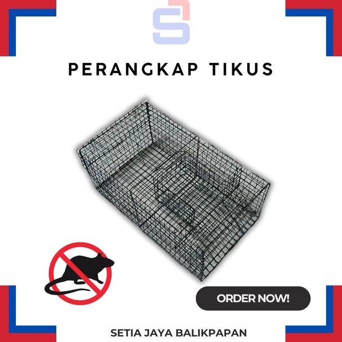 populer] Perangkap Tikus / Jebakan Tikus Kawat Besi