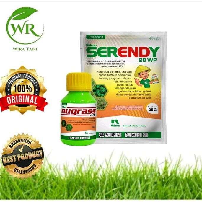 

Terlaris Herbisida Nugrass 100Ml + Serendy 25 Gram Paket Bebas Gulma 100% Original Padi Tidak Stress Menguning