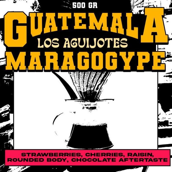 

ready stock Biji Kopi Arabika - Guatemala Maragogype Los Aguijotes - 500 Gr