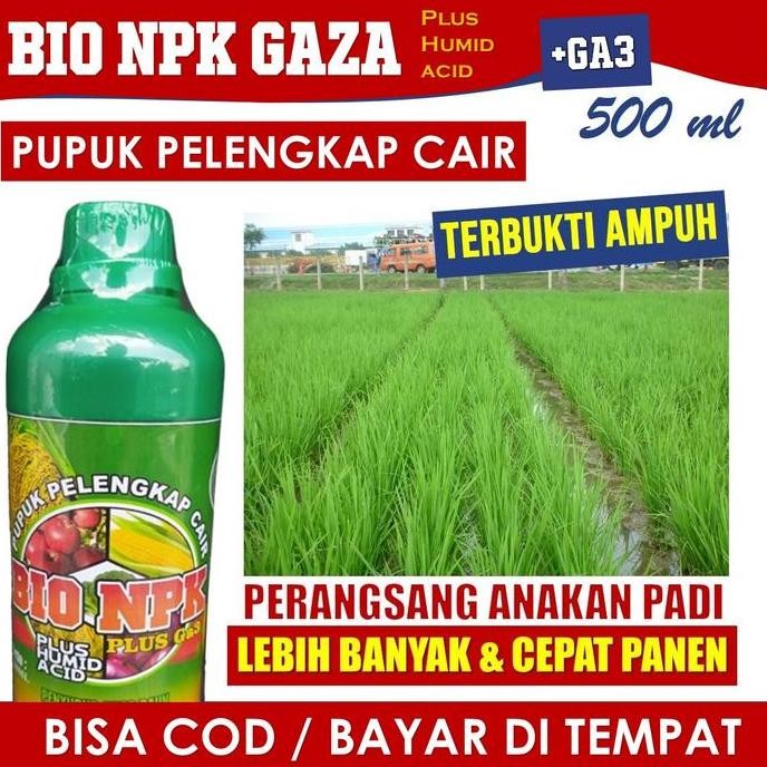 

Terlaris 500 Ml Obat Untuk Anakan Padi Agar Lebat Dan Banyak, Npk Cair Bio Npk Gaza Isi 500 Ml Pupuk Menyuburkan Daun Dan Buah Anakan Padi, Obat Penyubur Akar Padi Biar Kuat Di Musim Hujan, Pupuk Organik Peyubur Tanaman Buah Padi Terbaik