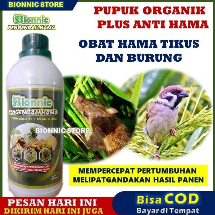 

Terlaris Pupuk Cair Pembasmi Tikus Dan Burung Padi Dan Jagung Bionnic 500Ml Obat Semprot Pengendali Hama Tikus Jagung Ampuh - Obat Pembasmi Tikus Sawah Yang Paling Ampuh Untuk Tanaman Jagung Dan Padi - Obat Ampuh Pembasmi Hama Tikus Sawah