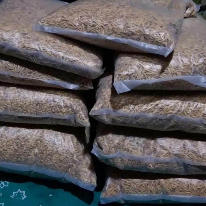 

Terlaris Benih Padi Basmati Premium