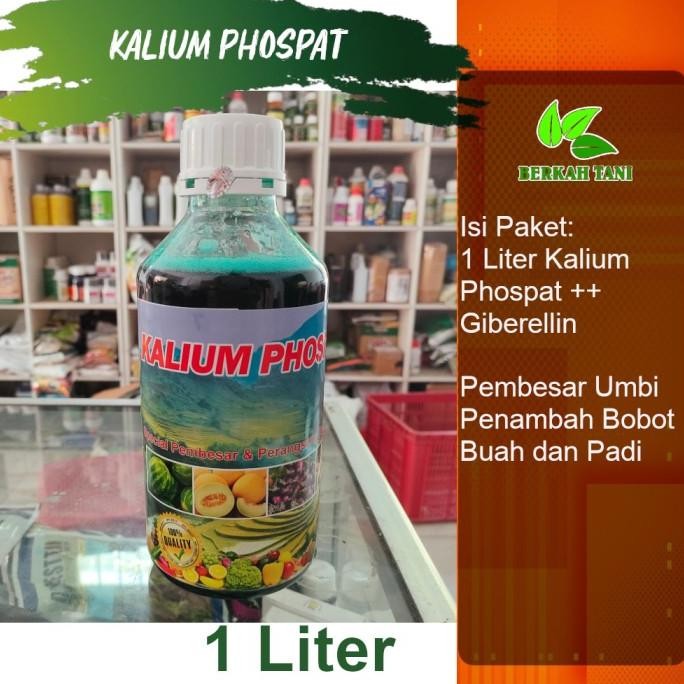 

Terlaris Kalium Phospat 1 Liter Pupuk Pembesar Umbi Dan Penamba Bobot Padi