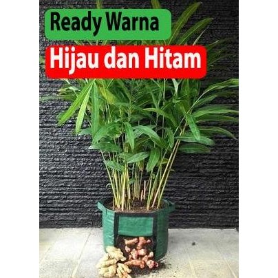 

Terlaris Polybag Pot Bibit Tanaman Rimpang : Jahe , Kunyit Rhizoma Planter Bag