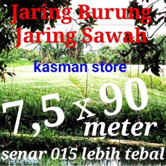 

Terlaris Jaring Burung Jaring Padi 3 Inci Senar 015 Lebih Tebal Bonus 2 Tali Termurah