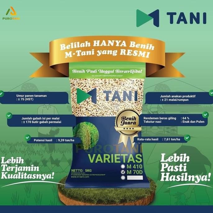 

Terlaris Bibit Padi M70D M70 Benih M-70 M Tani 5Kg