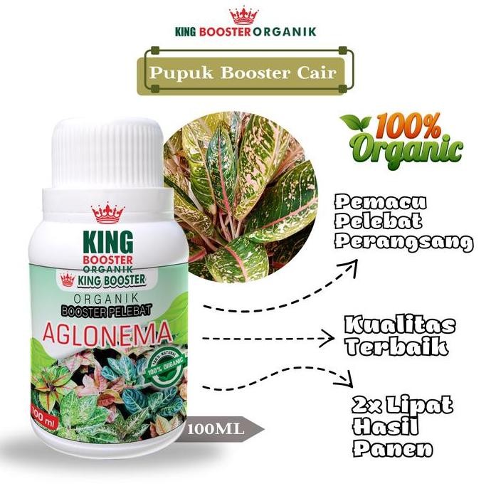 

Terlaris Pupuk Booster Cair Aglonema 100Ml Pupuk Organik Pelebat Pupuk Organik Murah Pemacu Pertumbuhan