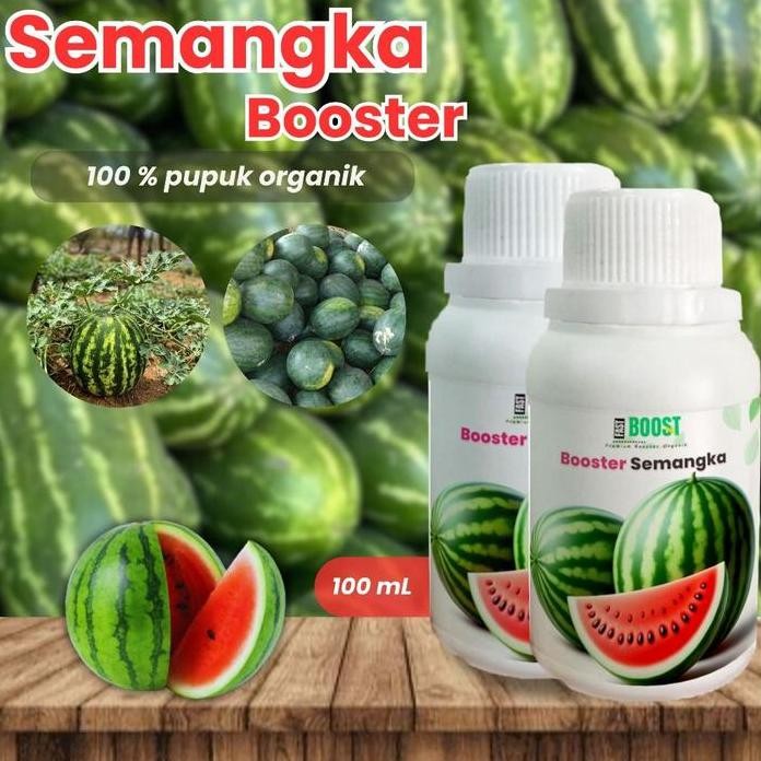 

Terlaris Pupuk Organik Cair Tanaman Semangka 100Ml Booster Organik Memacu Bunga Dan Pembushsn Untuk Hasil Panen Maksimal Alami