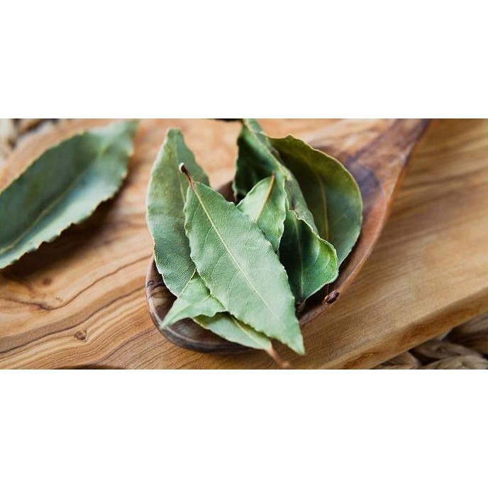 

monggo] Bay Leaves 250gram / Bayleaves / Daun Salam Turkey