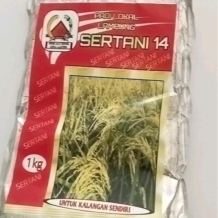 

Terlaris Benih Padi Lokal Sertani 14