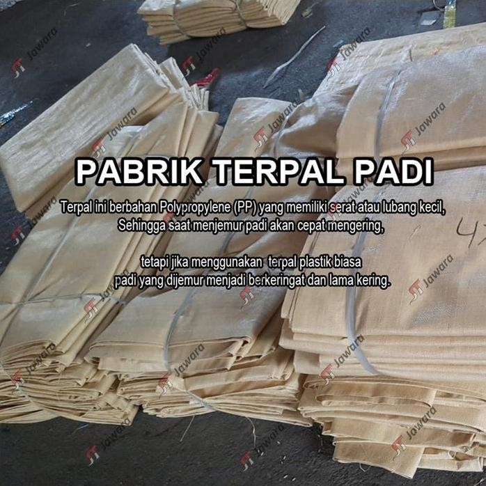 

Terlaris Terpal Hamparan Padi Ukuran 3X4