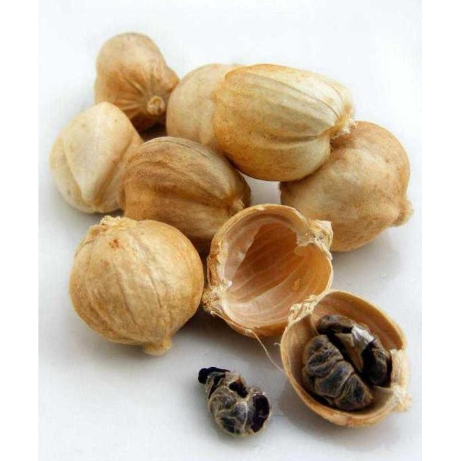 

Open DS] Kapulaga lokal 50gram / Cardamom White / Cardamon White