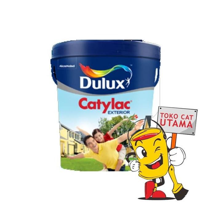 Dulux Catylac Exterior Tinting 25 Kg