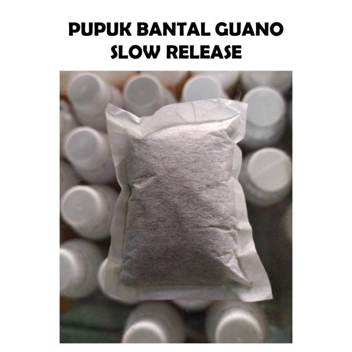 

Terlaris Pupuk Bantal Organik Guano Tanaman Hias Bunga Mawar Anggrek Aglonema