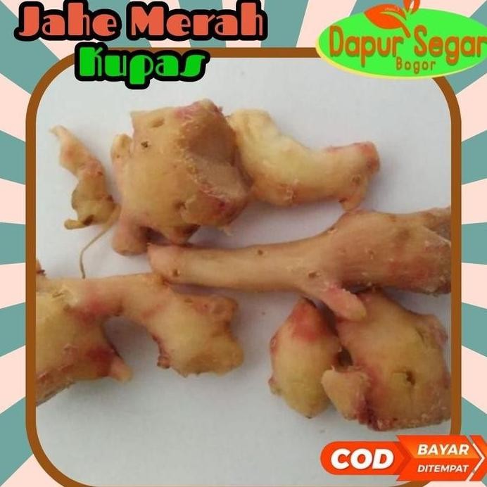 

Terlaris Jahe Merah Kupas 1Kg /Jahe Merah Kupas / Jahe Merah Kupas1Kg / Jahe Merah Kupas 1 Kg /Jahe Merah Kupas Segar / Benih Jahe Merah Kupas Super / Jahe Merah Medan / Jahe Merah Super / Bibit Jahe Merah / Jahe Merah Kupas Segar 1Kg