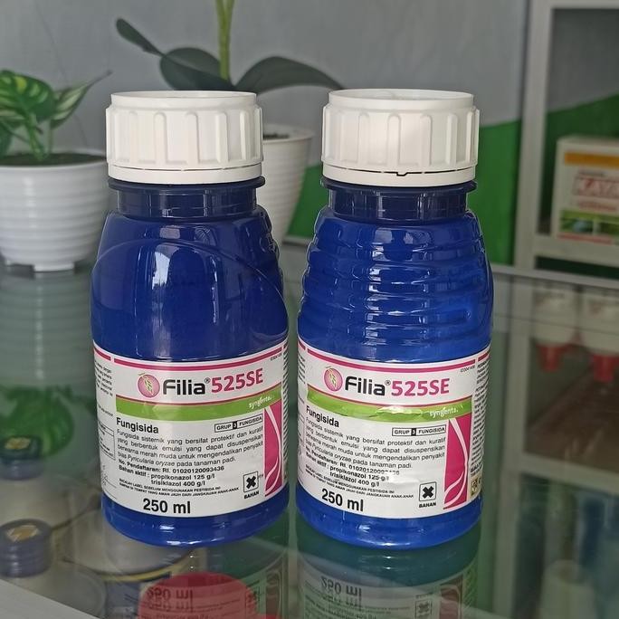 

Terlaris Fungisida Filia 525Se Obat Padi Fungisida Fillia Obat Blast Xantomonas