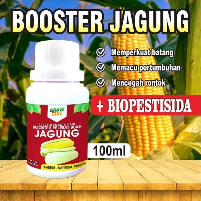 

Terlaris Pupuk Booster Jagung (100Ml) I Pupuk Organik Pelebat Jagung I Pupuk Organik Perangsang Jagung Tanaman Daun Tembaga