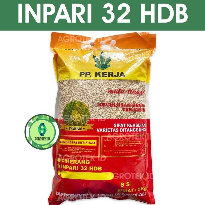 

Terlaris Benih Padi Inpari 32 Premium 5 Kg Pp Kerja