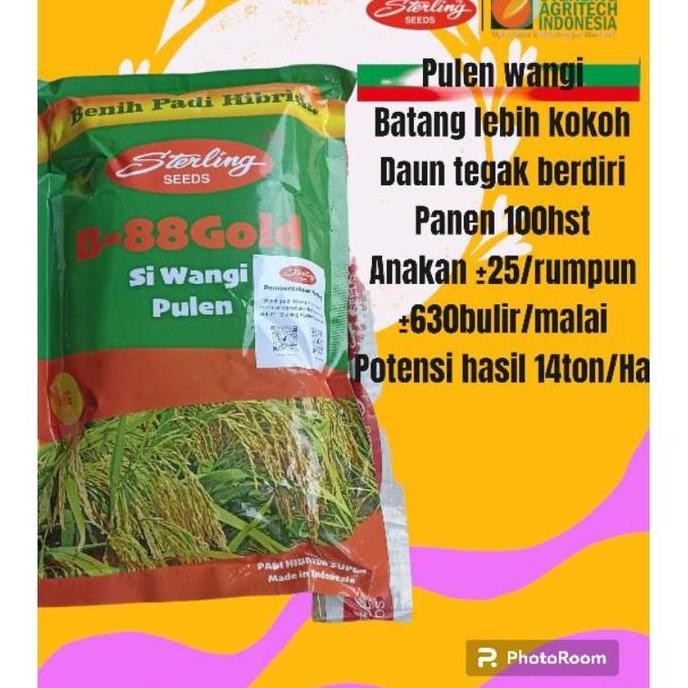 Terlaris Produk Promo B88 Benih Padi Hibrida Sterling B88 Gold 1Kg Pulen Wangi