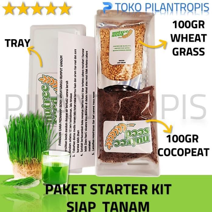 

Terlaris Paket Lengkap Starter Kit Benih Wheatgrass Bibit Rumput Gandum Kucing