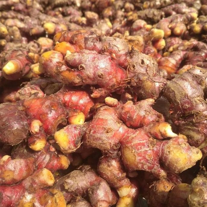 

Baru! Jahe Merah Super Segar 1 kg Asli Lokal