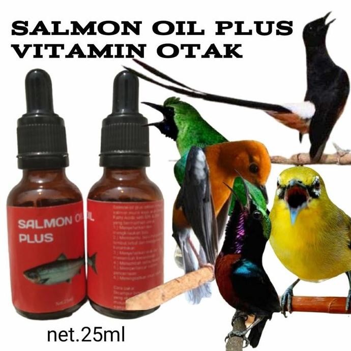 Terlaris Vitamin Burung Minyak Ikan Salmon Vitamin Otak Burung Salmon Oil Plus