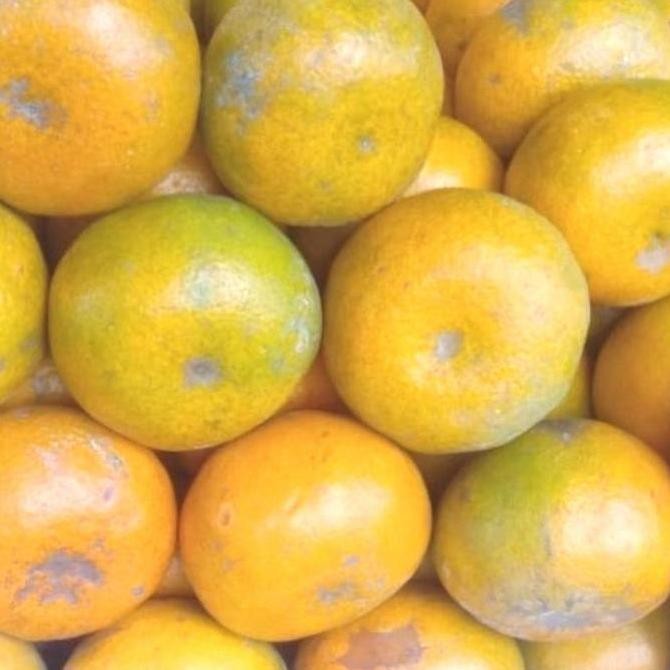 

buah jeruk Medan(Brastagi madu)di jamin manis