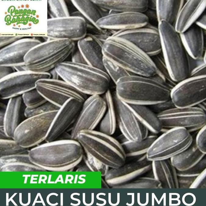 

Kwaci kuaci bunga matahari JUMBO Rasa Susu 500gr