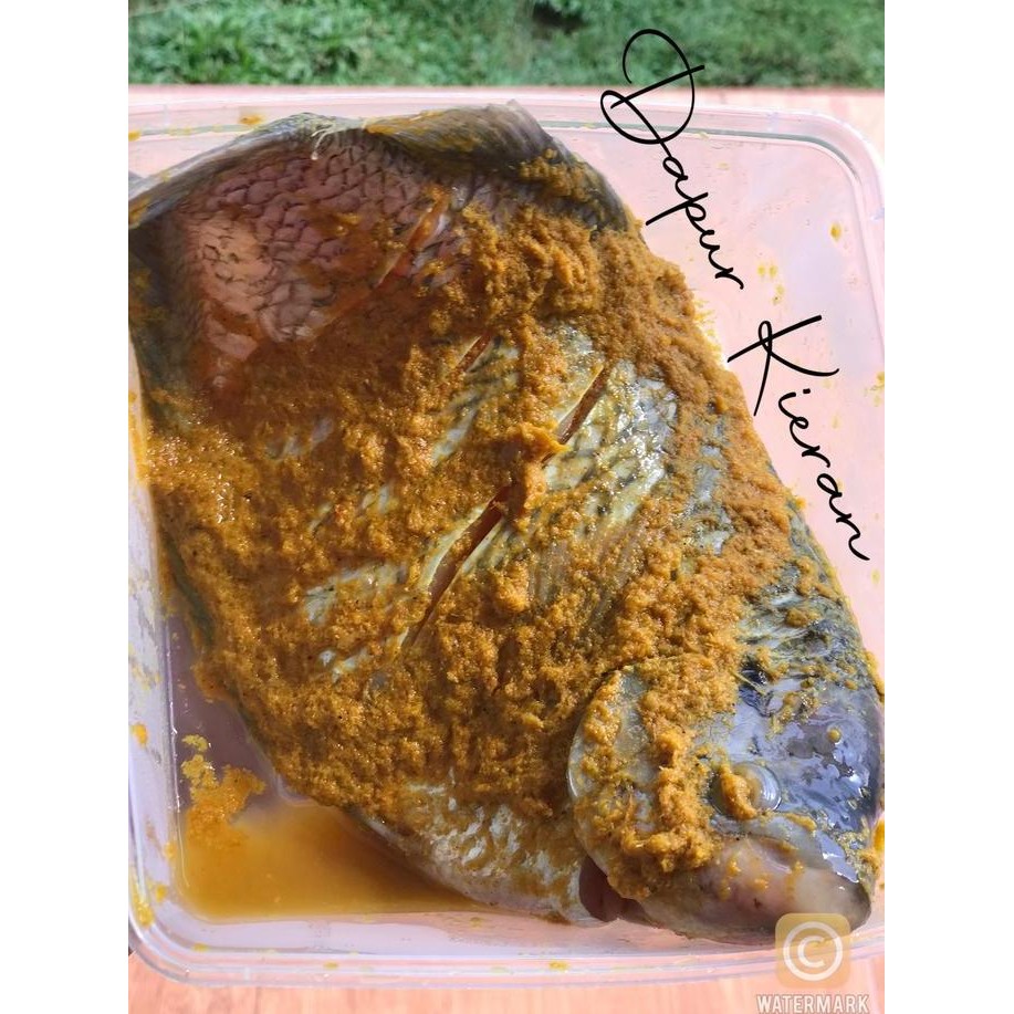 

AYAM UNGKEP BESAR 1 EKOR (potong 9)