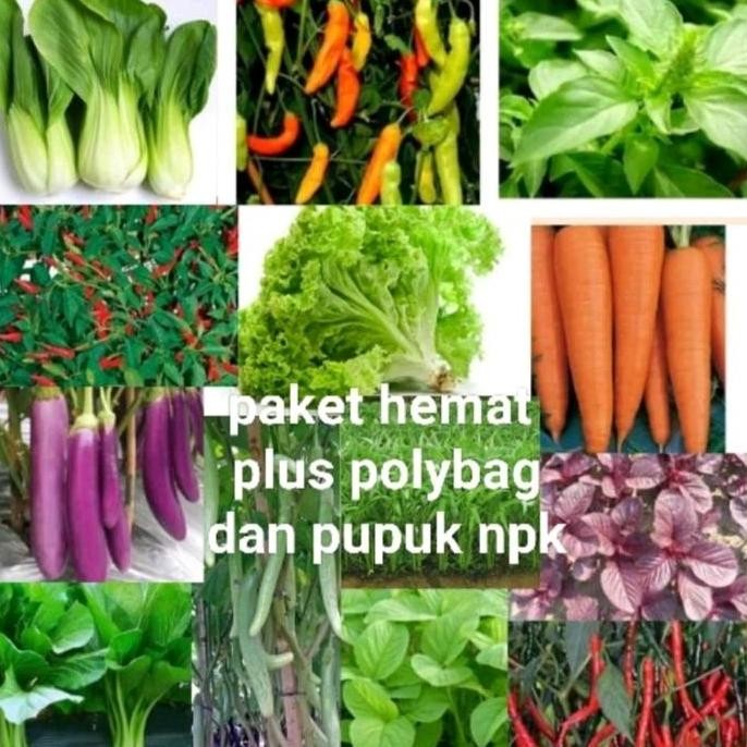 

Terlaris Benih Bibit Sayuran Paket Hemat Plus Polybag Dan Pupuk Npk