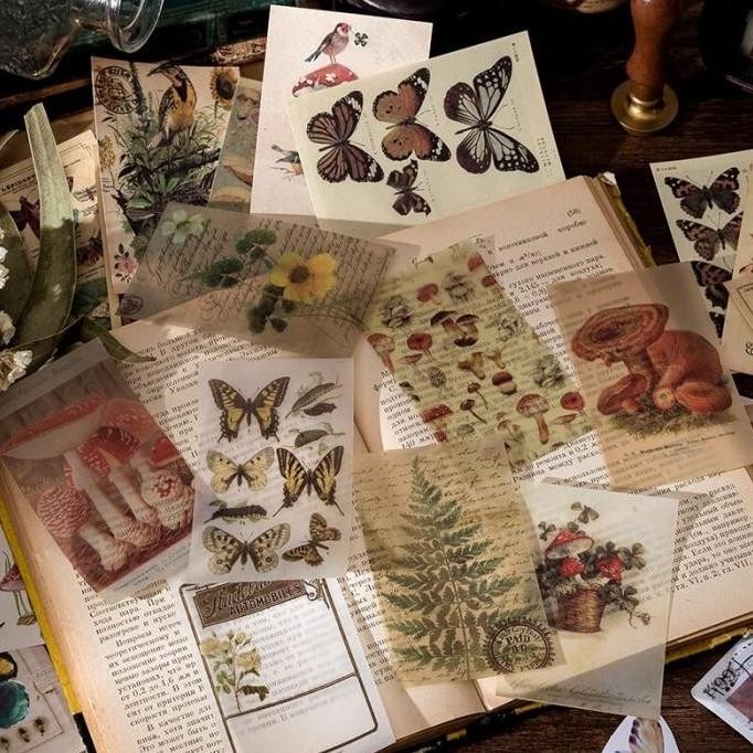 

ready Scrapbook Stickers Supplies Box Isi 60 Lembar Stiker Art Paper Vintage