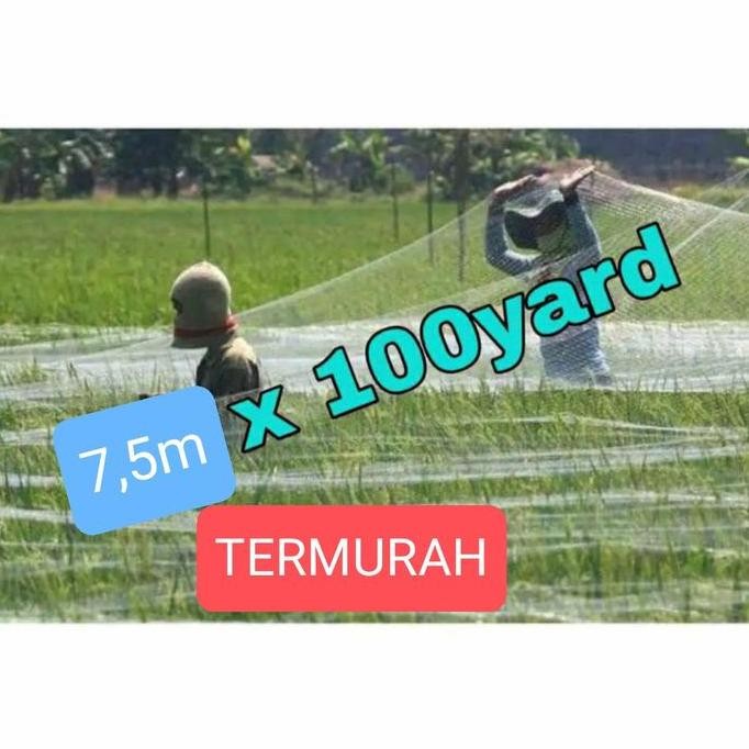 

Terlaris Jaring Burung Sawah Lebar 7,5M Panjang 100Yds Jaring Burung Padi
