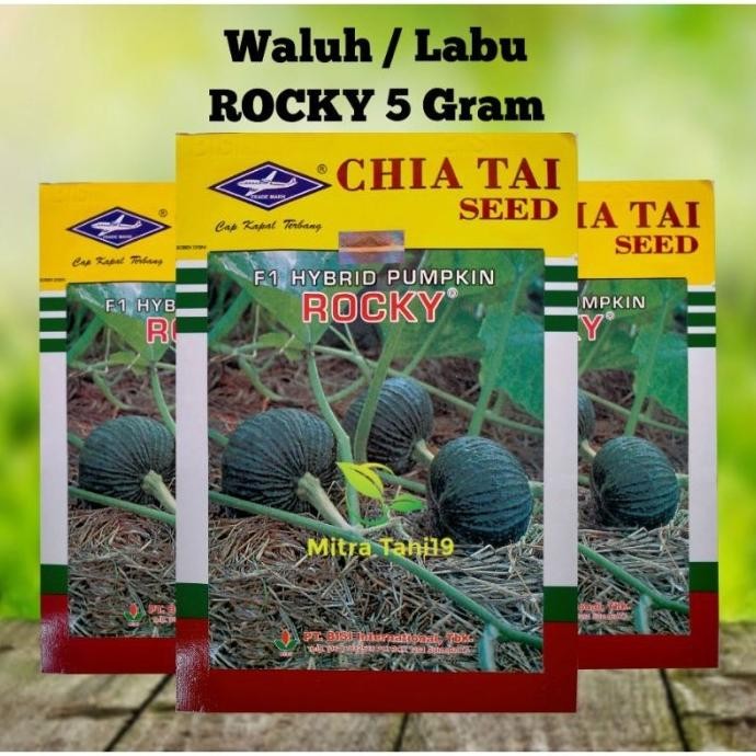 Obral BIBIT BENIH TANAMAN PERTANIAN BUAH SAYUR WALUH LABU KUNING ROCKY