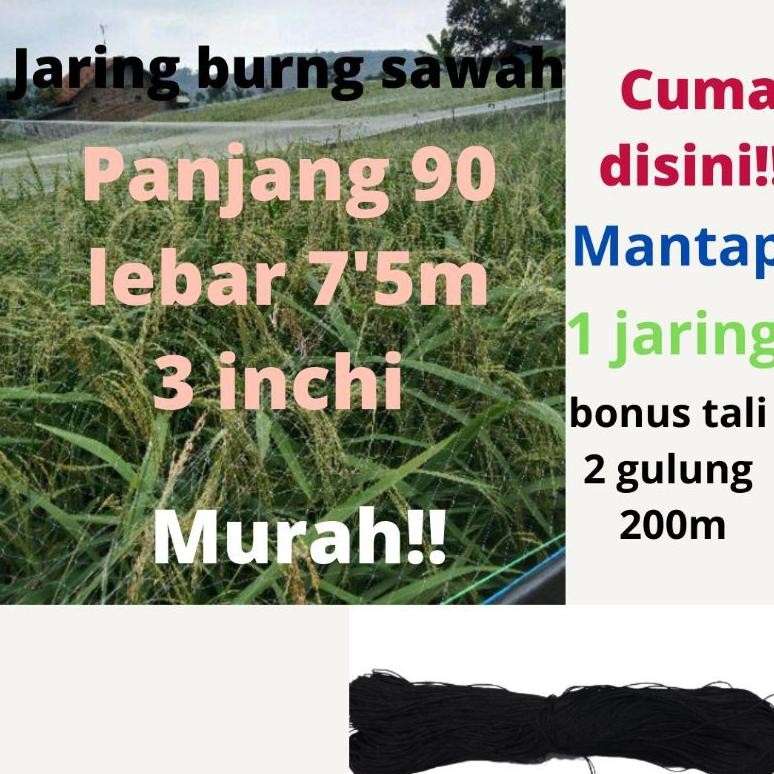 JARING BURUNG JARING PADI JARING EMPRIT JARING SAWAH 7,5x 90 METER JEBAKAN PERANGKAP BURUNG JARING