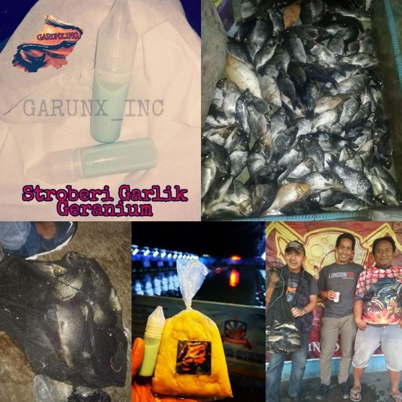 ESSEN OPLOSAN STROBERI GARLIC GERANIUM ESSEN OPLOSAN JUARA TOTAL ESSEN OPLOSAN IKAN MAS RAME