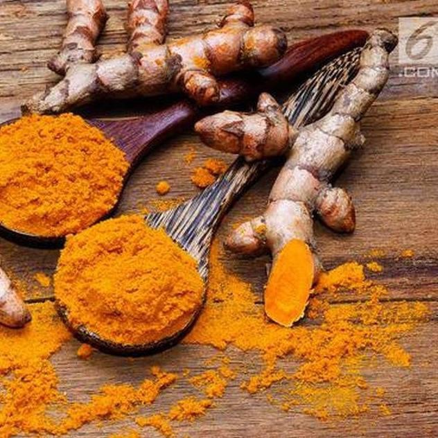 

Terlaris Bibit Kunyit Kuning // Bibit Rempah Kunyit