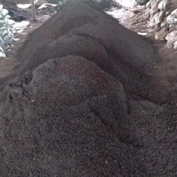 

Terlaris Pupuk Kandang Sapi Halus Semua Jenis Tanaman 1Kg