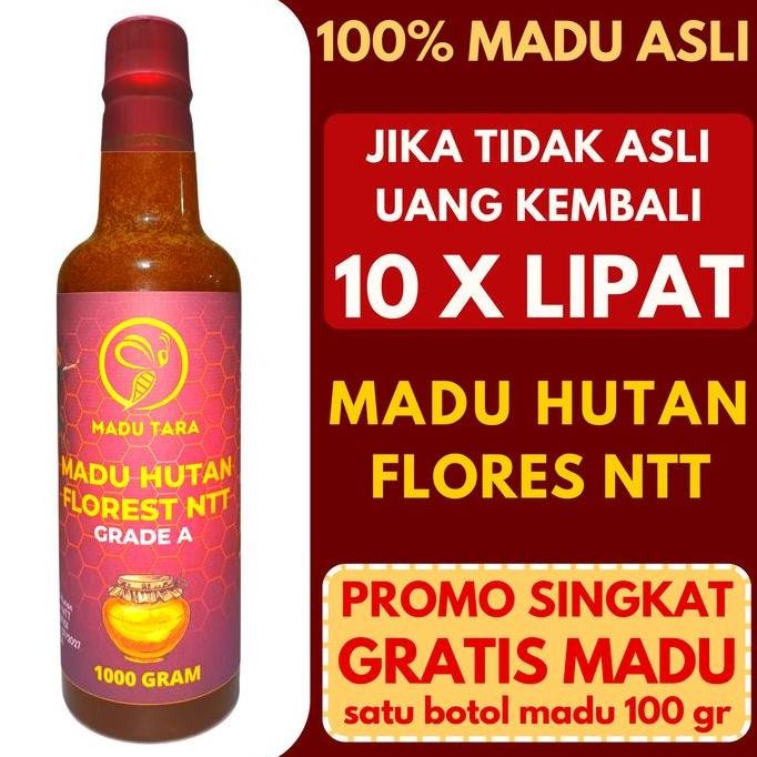 

BARU MADU HUTAN FLORES NTT MADU ASLI MADU MENTAH MURNI RAW HONEY MADU TARA