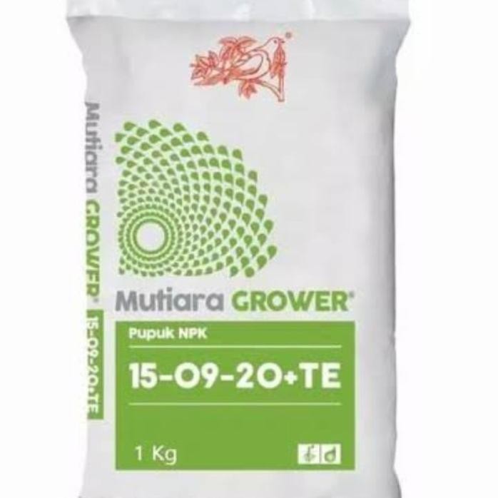 

Terlaris Pupuk Npk Grower 15-09-20 + Te Mutiara Meroke Kemasan Pabrik 1 Kg