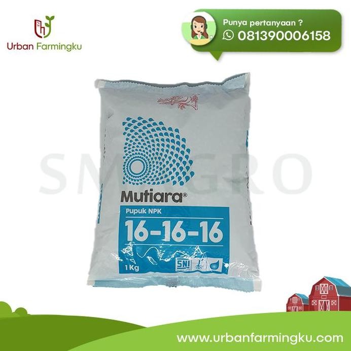 

Terlaris Pupuk Npk Mutiara 16-16-16 Kemasan 1 Kg
