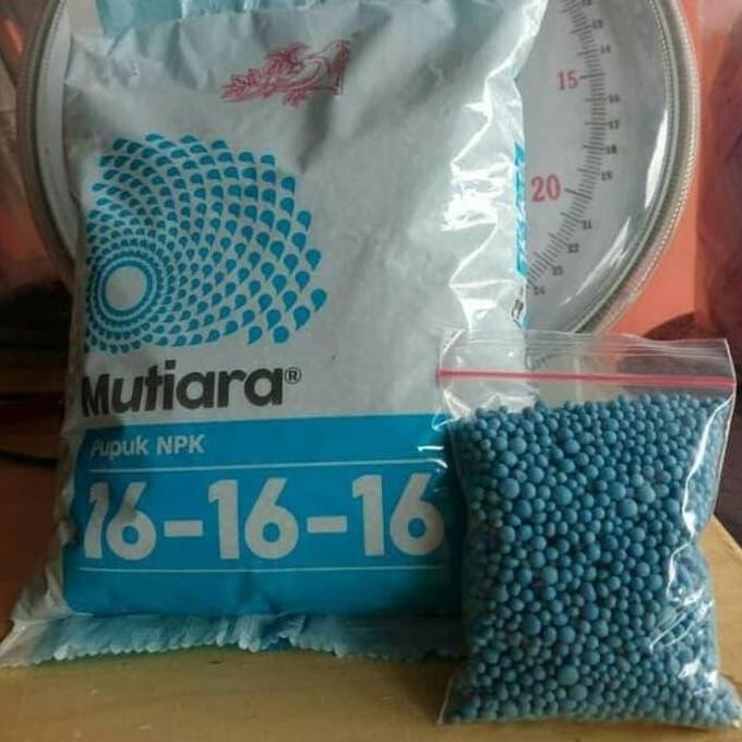 

Terlaris New Pupuk Npk Mutiara Kemasan Repack Ukuran 200 Gram Untuk Segala