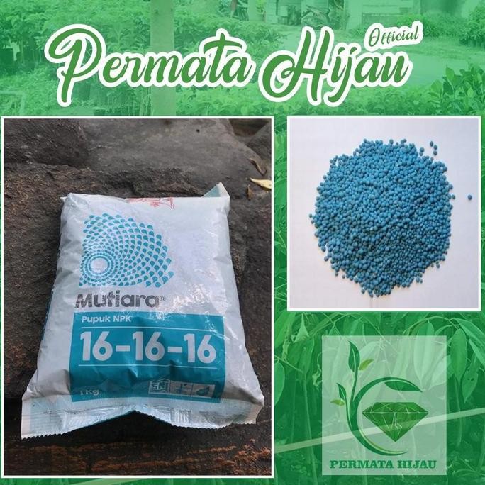 

Terlaris Pupuk Npk Mutiara Kemasan 100Gram