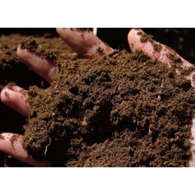 

Terlaris Pupuk Kandang Kotoran Sapi - Pupuk Organik 100% Murni