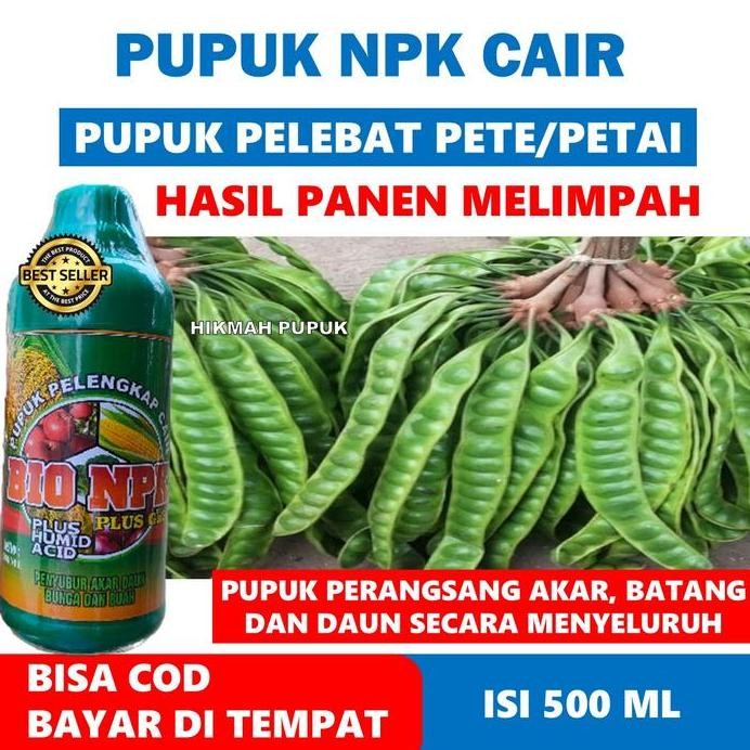 

Terlaris (Pelebat Petai) Pupuk Npk Istiqomah Grow Obat Organik Pelebat Pete Biar Cepat Berbuah, Hasil Panen Banyak - Pupuk Semprot Untuk Petai/Pete Subur - Pupuk Cair Melebatkan Buah Pete Biar Berbuah Lebat Hasil Panen Berlipat