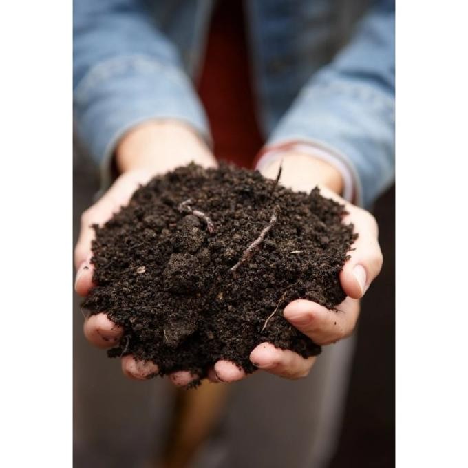 

Terlaris Kohe Pupuk Kandang Murni Fermentasi 3Kg Biklke 6413Om